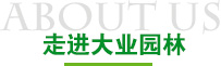 走进南宫(NG)体育